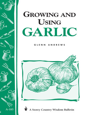 Growing and Using Garlic - ebook